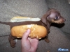 funny image