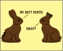 funny image