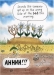 funny image
