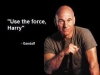 funny image
