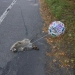 funny image